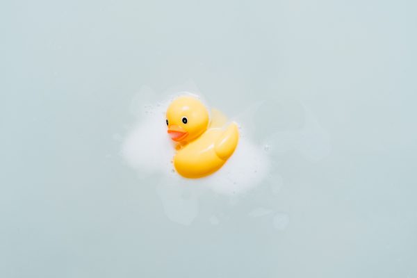 yellow bath duck