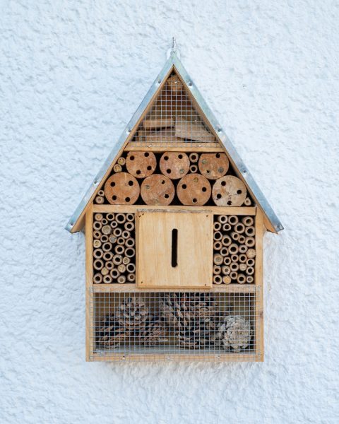 brown wooden bird house on white wall